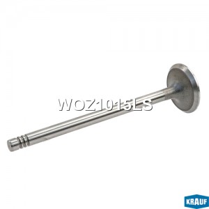 Клапан выпускной WOZ1015LS WOZ1015LS KRAUF