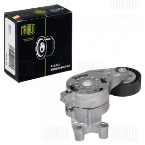 Ролик привод. ремня VW Golf V (03-) 2.0TFSi (с натяж. мех.) (CM 5438) CM 5438 TRIALLI