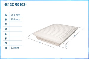 Фильтр воздушный B13CR0103 B13CR0103 CWORKS