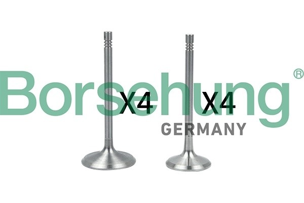 к-кт клапанов! впуск./выпуск. 8шт. 39.5x6x94\ VW Passat B5 1.6 00> B18146 BORSEHUNG