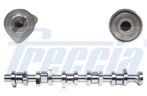 распредвал!\ VW T5/Multivan/Touareg 2.5TDi 03> CM052125 FRECCIA