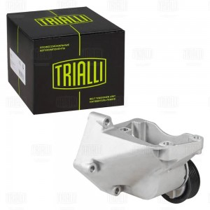 Ролик привод. ремня Ford Focus I (98-) 1.4i/1.6i Zetec-S (с натяж. мех.) (CM 550 CM5501 TRIALLI