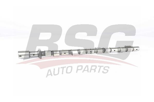 Вал распределительный BMW 3,5 (E30,E36,E34) (M40) ремкомплект BSG BSG15108001 BSG