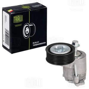 Ролик приводного ремня с натяжным механизмом CHERY TIGGO (06-) 1.6/1.8 CM 3003 TRIALLI