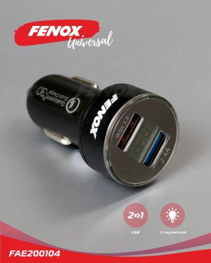 Зарядное устройство универсальное 2 USB PC пласик, металл, 2 USBх5.5А, 12-24В, с FAE200104 FENOX