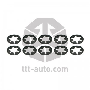 р/к дискового тормоза! 10(м) шайбы стопорные BPW \TSB 3709/4309/4312 19087 TTT AUTO