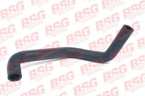 Патрубок FORD Escort ГУР BSG BSG30720054 BSG