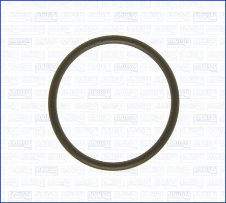 Прокладка VW Golf (91-05) (1.4/1.6),Polo (94-08) (1.0/1.3/1.4/1.6) корпуса термо 16029000 AJUSA