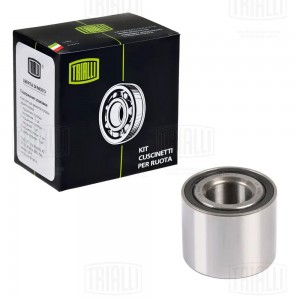 RENAULT SANDERO CS 0103 TRIALLI