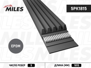 Ремень поликлиновой 5PK1815 5PK1815 MILES