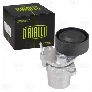 Ролик приводного ремня с натяжным механизмом CM5084 TRIALLI