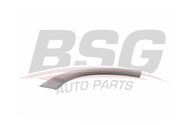 МОЛДИНГ ДВЕРИ ПЕРЕДН. BSG70925001 BSG