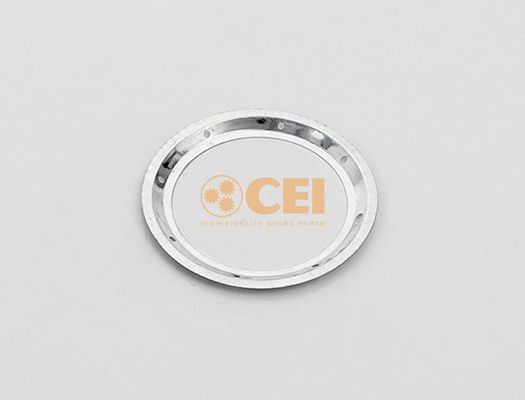 Масляная пластина 139759 CEI