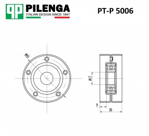 Шкив натяжителя ремня приводного RENAULT Kaptur PT-P5006 PTP5006 PILENGA