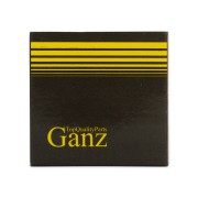 HYUNDAI / KIA GIF08007 GANZ