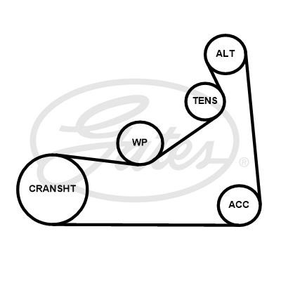 AUDI/FORD/MAZFA/RENAULT/VOLVO 6PK1175 6-PK-1173 GATES