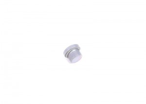 Пробка BMW 3 (E46) картера двигателя OE 24117552349 BMW
