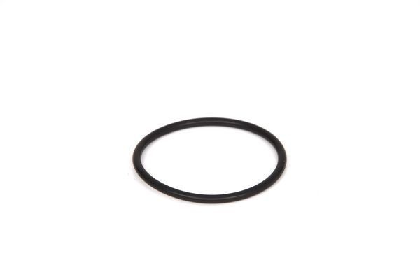 Кольцо уплотнительное BMW BOSCH 2 700 210 031 BOSCH