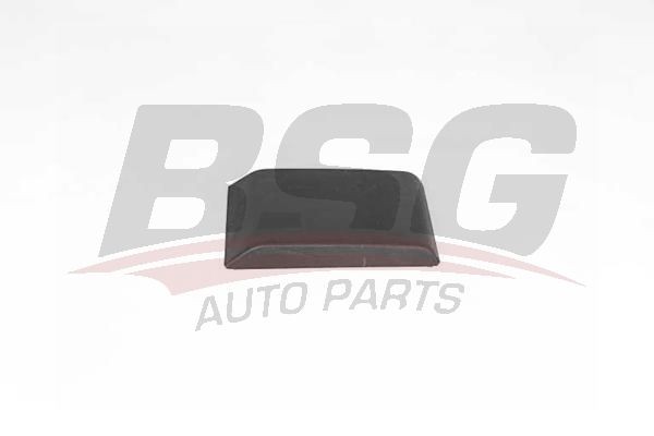 RENAULT KANGOO/ LOGAN/ SCENIC КРЕПЛЕНИЯ ТОПЛИВНОГО НАСОСА В БАК BSG75971001 BSG