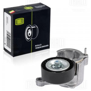 CITROEN C5 / PEUGEOT 206 CM 5179 TRIALLI