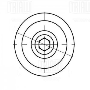 Ролик приводного ремня CM 5549 TRIALLI