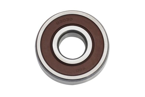 Подшипник генератора RENAULT DUSTER 1.5dCi 30904 30904 ASAM