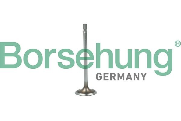 клапан впускной! 29.5x5x110.3\ Audi Q2 16>, VW Polo/Jetta 1.0/1.6 14> B19015 BORSEHUNG