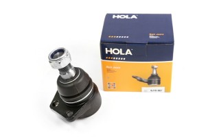 GAZ 2217 BJ10007 HOLA