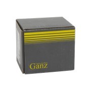 MITSUBISHI / VOLVO 2 на рычаг / 4 на ось GIL06143 GANZ