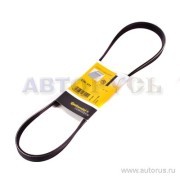ремень поликлиновой!\ BMW E32/E34/E38 3.0/4.0 V8 92> 5-PK-975 CONTITECH