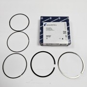 кольца поршневые! d82.07 STD\ Ford Fiesta/Focus 1.6 04-10 C16FYK 800038410000 KOLBENSCHMIDT