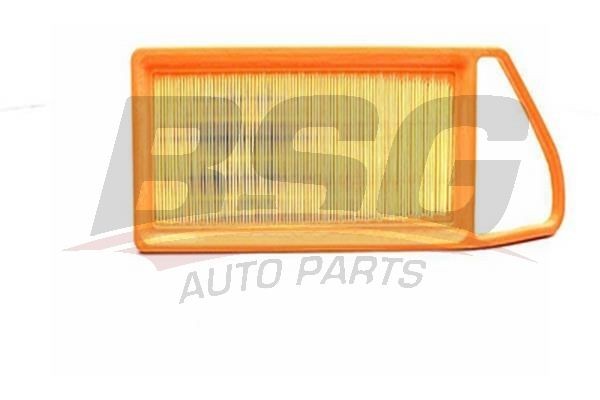 Фильтр воздушный FORD Fiesta (1.4d) BSG BSG30135010 BSG