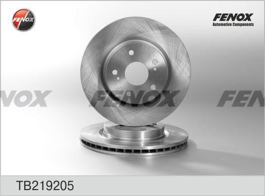 Диск тормозной Suzuki Grand Vitara II 05-  2шт TB219205 FENOX