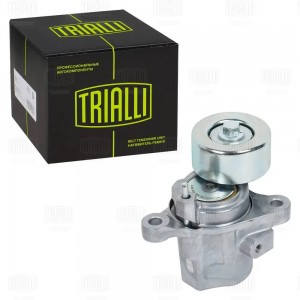 Ролик приводного ремня с натяжным механизмом CM 5977 TRIALLI