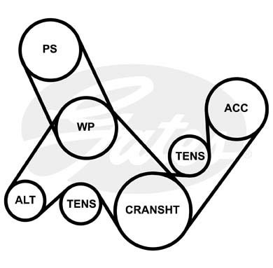 Ремень приводной поликлиновой 5PK955 GATES 5-PK-955 GATES
