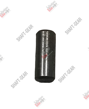 Штифт Q5210824 SHAFT