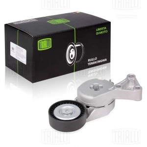 Ролик генер. с натяж. мех. Skoda Octavia (04-) CM1806 CM 1806 TRIALLI