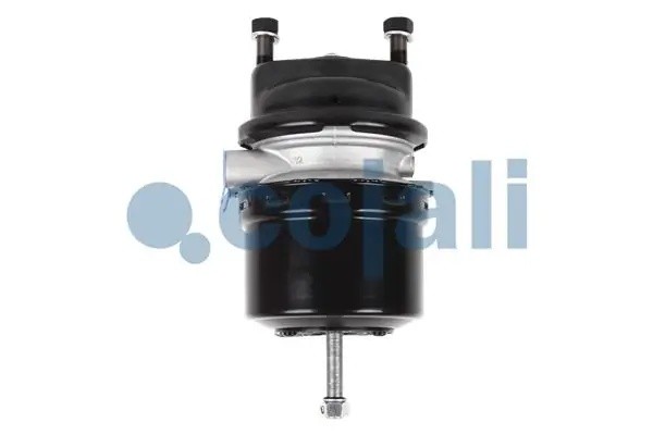 энергоаккумулятор! T16 дискового тормоза\ MAN 2251532 COJALI
