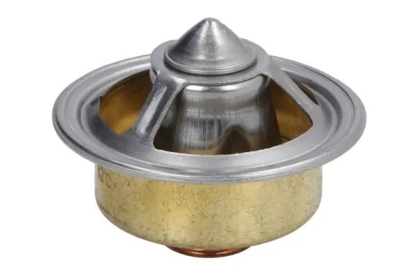 D2AG005TT Термостат D2AG005TT THERMOTEC