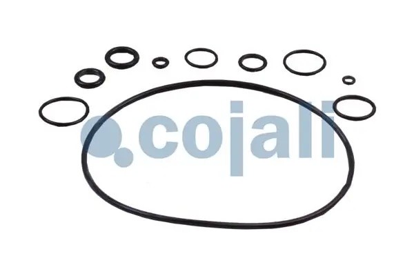 Ремкомплект RENAULT Premium,Magnum,Kerax ПГУ COJALI 6034032 COJALI