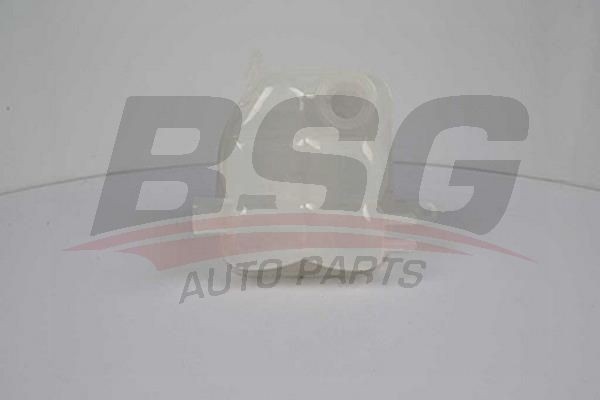 Бачок расширительный FORD Transit (00-) охлаждающей жидкости BSG BSG 30-550-003 BSG