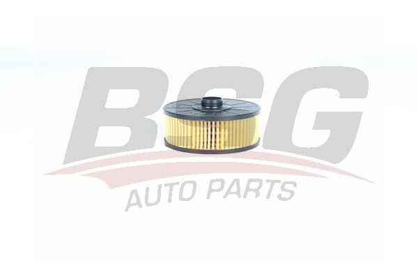Фильтр масляный RENAULT NISSAN BSG BSG75140003 BSG