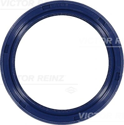 X-TRAIL (T30) (2001-2006) 815328400 VICTOR REINZ