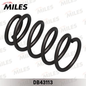 Пружина задней подвески HYUNDAI SANTA FE 4WD 11/05- (KYB RC6343) DB43113 DB43113 MILES