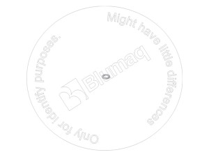 01642-00608-BQ ШАЙБА 0164200608BQ BLUMAQ