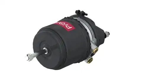 Энергоаккумулятор дискового тормоза Тип: 24/24 ; PRO4810120 PROVIA