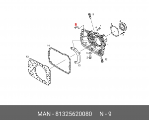 Жиклёр 81325620080 MAN