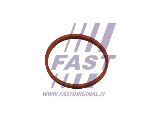 ПРОКЛАДКА RENAULT KANGOO 08 ШЛАНГ ТУРБИНЫ FT48932 FT48932 FAST