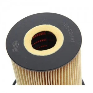 Фильтр масляный PORSCHE Cayenne,Panamera (07-),911 MEGAPOWER 100-23-141 MEGA POWER