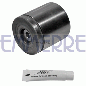 Прошень цилиндра тормозного 960712 EMMERRE